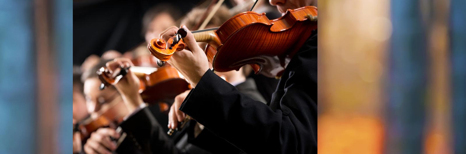 group of violists performing