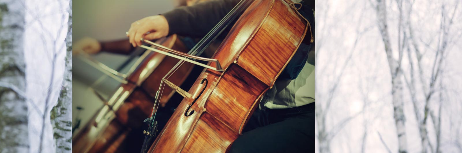 a string instrument with winter trees in the background